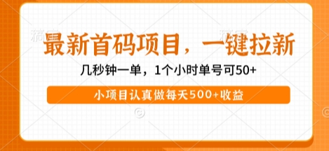 最新首码项目，操作最简单，收益高，一键拉新，1个小时单号可50+，小项目认真做每天5张+收益【揭秘】-点格网络