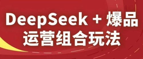 DeepSeek+爆品运营组合玩法，2025淘系精品课-点格网络