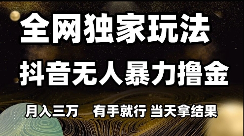 全网独家玩法抖音无人暴力撸金，月入3W，有手就行，当天拿结果【揭秘】-点格网络
