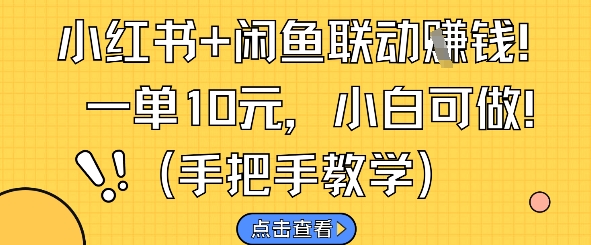 小红书+闲鱼联动挣钱，一单10元，小白可做-点格网络