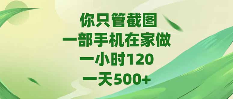 （15039期）你只管截图，一部手机在家做，一小时120，-天500+-点格网络