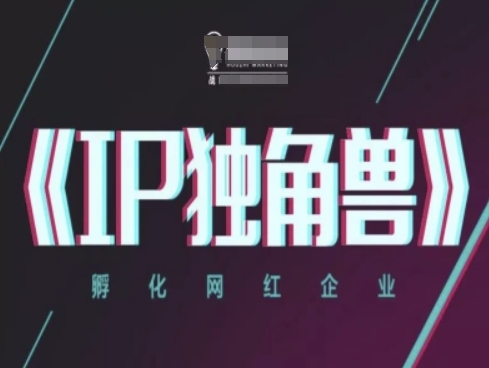 IP独角兽，孵化网红企业，ip教程-点格网络