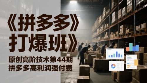 《拼多多打爆班》原创高阶技术第44期，拼多多高利润强付费-点格网络