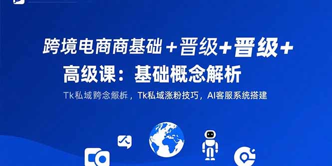 （15496期）跨境电商基础+晋级+高级课：基础概念解析,Tk私域涨粉技巧,AI客服系统搭建-点格网络