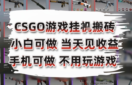 CSGO游戏挂G搬砖，小白纯手机即可操作，不用电脑打游戏，日入3张+，副业网创项目【揭秘】-点格网络