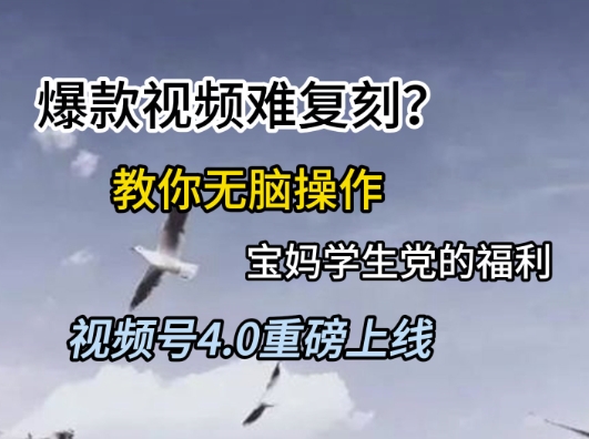 视频号4.0重磅上线，爆款视频难复刻？教你无脑操作宝妈学生党的福利【揭秘】-点格网络
