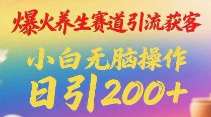 爆火养生赛道引流获客，小白无脑操作，日引200+-点格网络
