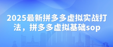 2025最新拼多多虚拟实战打法，拼多多虚拟基础sop-点格网络