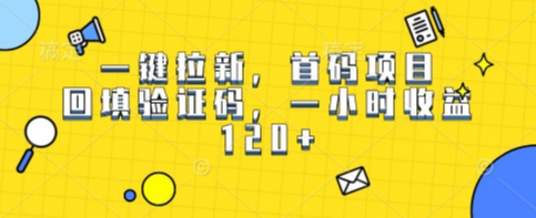 一键拉新，首码项目，回填验证码，一小时收益1张-点格网络