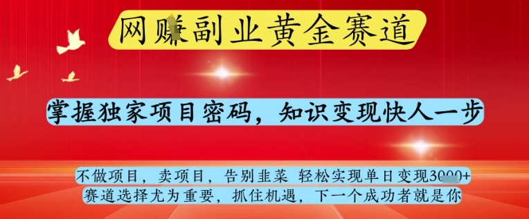 网创副业黄全赛道，掌握独家项目密码，知识变现快人一步，告别韭菜轻松实现单日变现1k+【揭秘】-点格网络