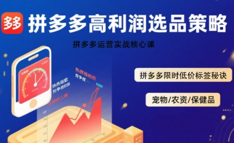 拼多多选品暴利技术实战课，拼多多高利润选品策略，拼多多限时低价标签秘诀-点格网络