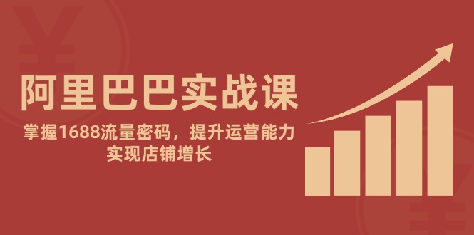 （14830期）阿里巴巴实战课：掌握1688流量密码，提升运营能力，实现店铺增长-点格网络