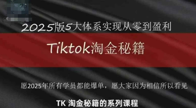 TikTok跨境2025淘金秘籍，​2025TikTok从0到盈利变现-点格网络