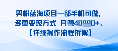 8月新男粉蓝海项目一部手机可做，多重变现方式 月入4W+【详细操作流程拆解】-点格网络