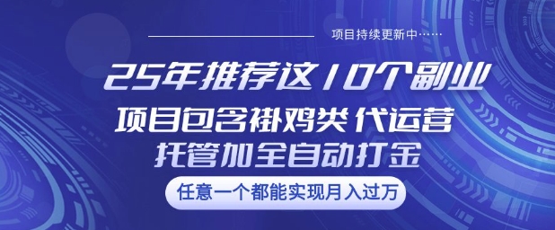 25年推荐这10个副业项目包含褂鸡类、代运营托管类、全自动打金类【揭秘】-点格网络