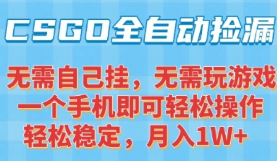 CSGO自动捡漏项目，最新独家玩法，一个手机可操作，新手小白轻松月入1W+，操作简单易上手【揭秘】-点格网络