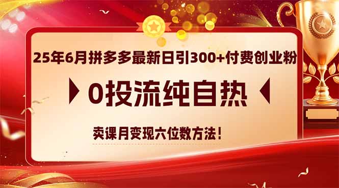 （14989期）25年6月拼多多最新日引300+付费创业粉，0投流纯自热 卖课月变现六位数方法-点格网络