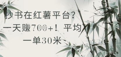 抄书在小红薯平台？平均一单30米，一天收益几张！-点格网络