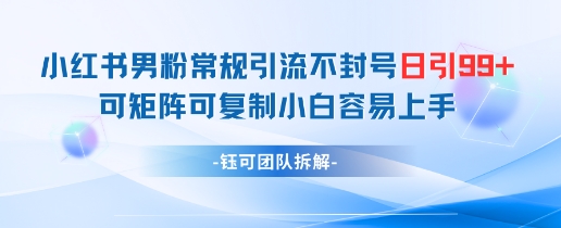 小红书男粉常规引流不封号日引99+变现简单 可矩阵可复制小白容易上手-点格网络