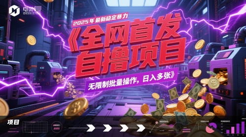 全网首发，2025年最新稳定暴力全自动自撸项目，无限制批量操作，日入多张【揭秘】-点格网络