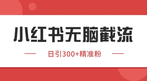 小红书截流同行客源，独家野路子获客玩法 日引200+暴力获客【揭秘】-点格网络