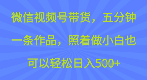 微信视频号带货，五分钟一条作品，照着做小白也可以轻松日入5张-点格网络