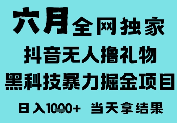 25年6月高爆抖音无人直播最新撸音浪掘金项目，门槛低小白可做，无脑日入1k，可矩阵放大【揭秘】-点格网络