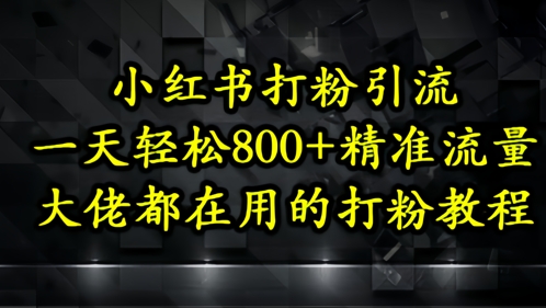 小红书打粉引流，一天轻松500+精准流量，大佬都在用的打粉教程-点格网络