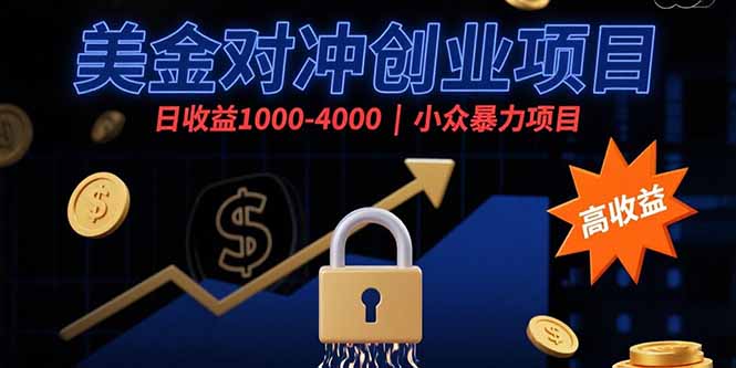 （15642期）美金对冲创业项目，日收益1000-4000，小众暴力项目-点格网络