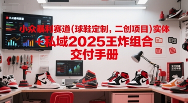 小众暴利赛道(球鞋定制，二创项目)实体+私域2025王炸组合  交付手册-点格网络