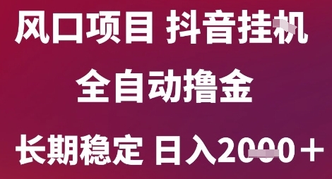 风口项目，六月最新玩法抖音无人挂G，全自动撸金，长期稳定 日入2k+【揭秘】-点格网络