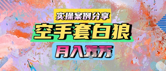 空手套白狼，月入过1W，实操案例分享-点格网络