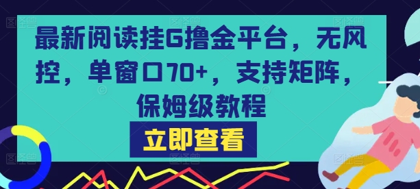 最新阅读挂G撸金平台，无风控，单窗口70+，支持矩阵，保姆级教程【揭秘】-点格网络