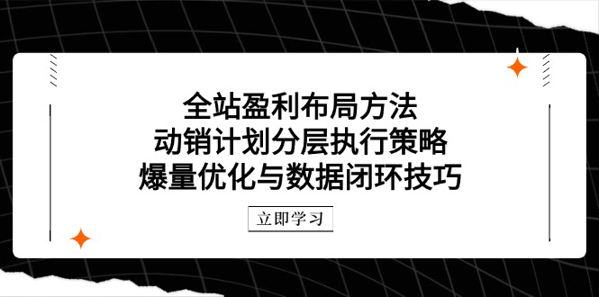 （14698期）全站盈利布局方法：动销计划分层执行策略，爆量优化与数据闭环技巧-点格网络
