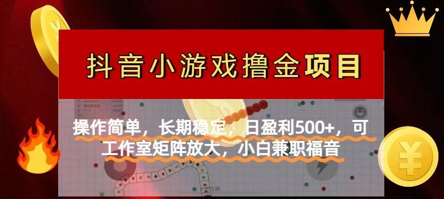 （14290期）【抖音小游戏发行人计划项目】操作简单，长期稳定，日盈利500+，可工作…-点格网络
