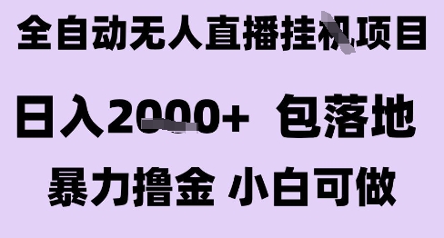 最新全自动抖音无人直播挂G项目，日入2k+ 包落地暴力撸金，小白可做【揭秘】-点格网络