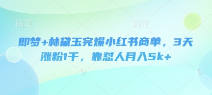 即梦+林黛玉完爆小红书商单，3天涨粉1千，靠怼人月入5k+-点格网络