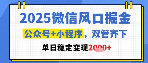 2025微信风口掘金，公众号+小程序双管齐下，单日稳定变现1k+【揭秘】-点格网络