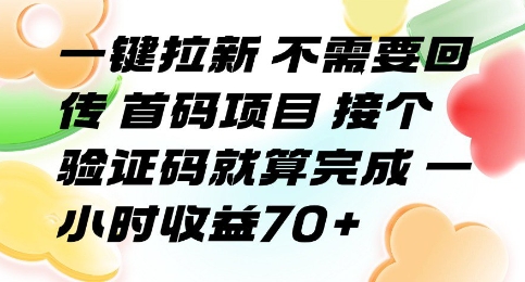 一键拉新 不需要回传 首码项目 接个验证码就算完成 一小时收益70+【揭秘】-点格网络