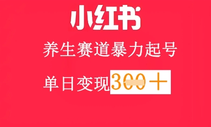 小红书养生赛道，暴力起号，轻松日入3张+-点格网络