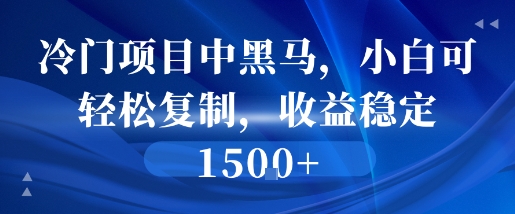 冷门项目中黑马，小白可轻松复制，收益稳定1.5k-点格网络
