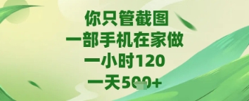 你只管截图，一部手机在家做，苹果安卓都可以，一天5张+【揭秘】-点格网络