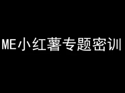 ME小红薯专题密训-小红书电商教程-点格网络