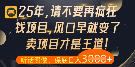 什么？25年你还在疯狂找项目做，醒醒吧，看完这些你全都懂了【揭秘】-点格网络