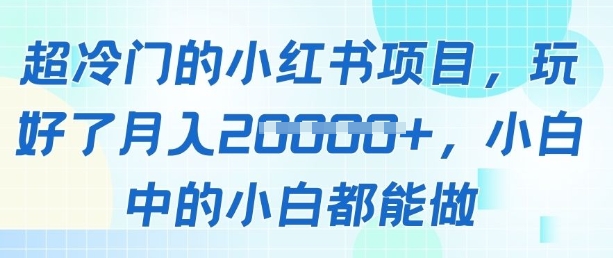 超冷门的小红书项目，玩好了月入过1w，小白中的小白都能做-点格网络