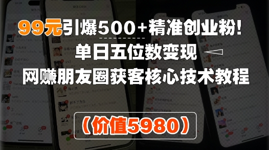 99元引爆500+精准创业粉！单日五位数变现，网创朋友圈获客核心技术教程-点格网络