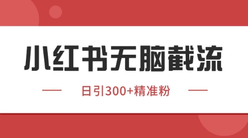 小红书只要你有同行就能获客，独家野路子获客玩法，暴力截流【揭秘】-点格网络