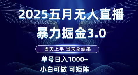 2025五月无人直播暴力掘金3.0，当天上手，当天拿结果，单号日入1k+小白可做可矩阵【揭秘】-点格网络