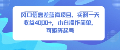 风口信息差蓝海项目，实测一天收益4k+，小白操作简单，可矩阵起号-点格网络