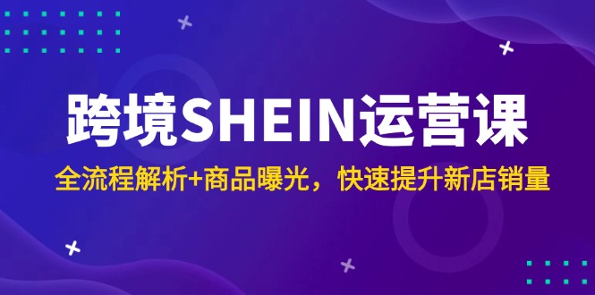 （14832期）跨境SHEIN运营课，全流程解析+商品曝光，快速提升新店销量-点格网络